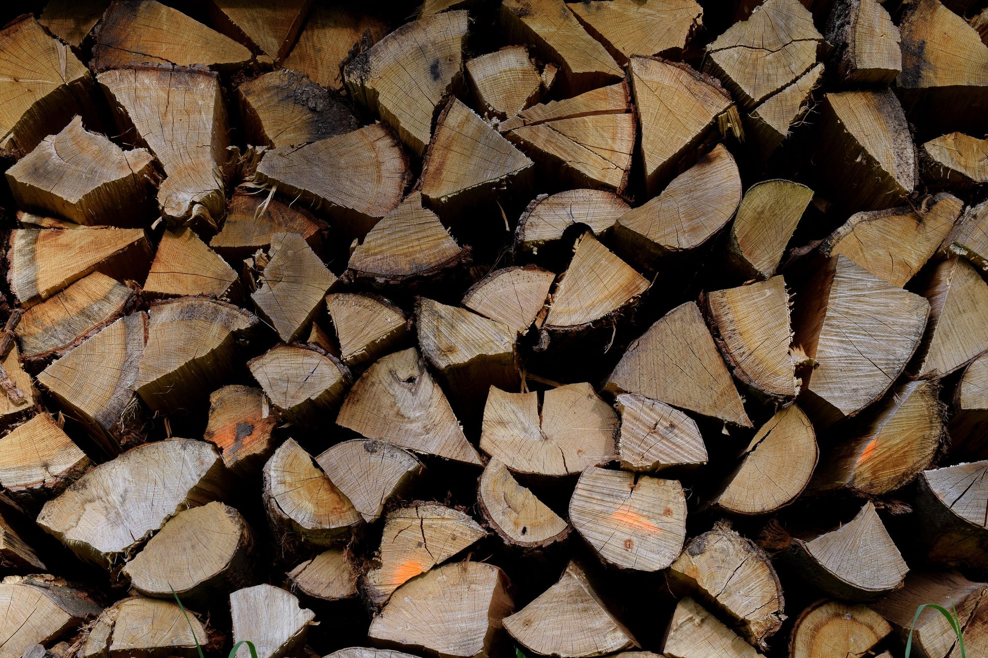 wood